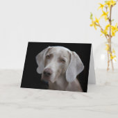 Weimaraner-Hundeschablone Karte (Gelbe Blume)