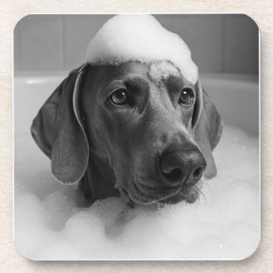 Weimaraner im Bad mit Blasen auf dem Kopf Getränkeuntersetzer