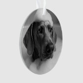 Weimaraner im Bad mit Blasen auf dem Kopf Ornament (Vorderseite)