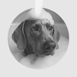 Weimaraner im Bad mit Blasen auf dem Kopf Ornament