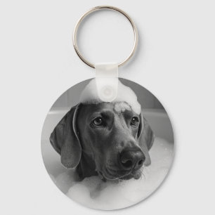 Weimaraner im Bad mit Blasen auf dem Kopf Schlüsselanhänger