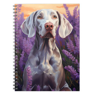 Weimaraner im Lavenderfeld Notizblock