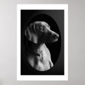Weimaraner im Morgenlicht (schwarz & weiß) Poster (Vorne)