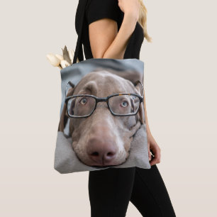 Weimaraner in den intelligenten Gläsern Tasche
