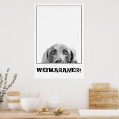 Weimaraner in einem Kistenposter Poster (Küche)
