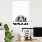 Weimaraner in einem Kistenposter Poster (Heimbüro)