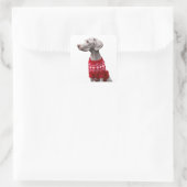 Weimaraner in Weihnachts-Sweatsticker Quadratischer Aufkleber (Tasche)
