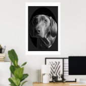 Weimaraner - intensiv (schwarz und weiß) poster (Heimbüro)