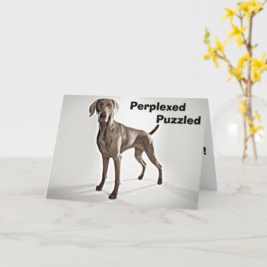 WEIMARANER IST PERPLEXED/PUZZIERT U 40! KARTE (Gelbe Blume)