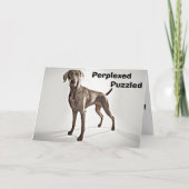 WEIMARANER IST PERPLEXED/PUZZIERT U 40! KARTE (Vorderseite)
