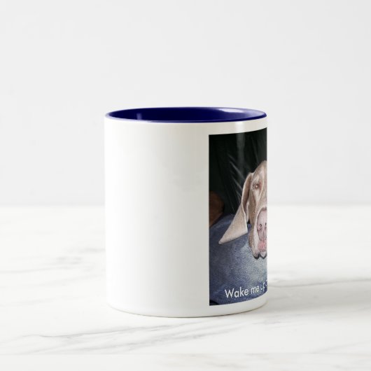 Weimaraner Kaffee-Tasse Zweifarbige Tasse (Mittel)