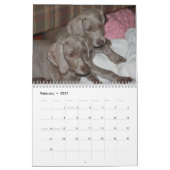 Weimaraner Kalender (Feb 2027)