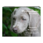 Weimaraner Kalender 1 (Titelbild)