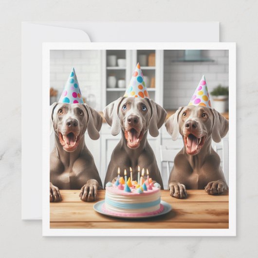 Weimaraner-Karte, Weimaraner-Geburtstag Einladung (Vorderseite)
