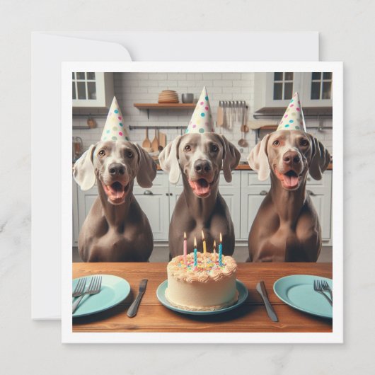 Weimaraner-Karte, Weimaraner-Geburtstag Einladung (Vorderseite)