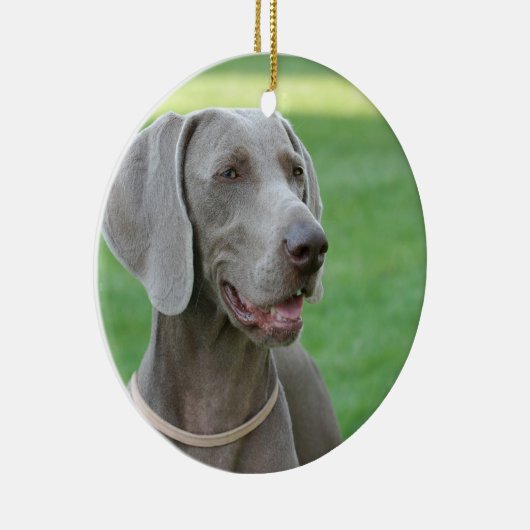 Weimaraner Keramikornament (Rechts)