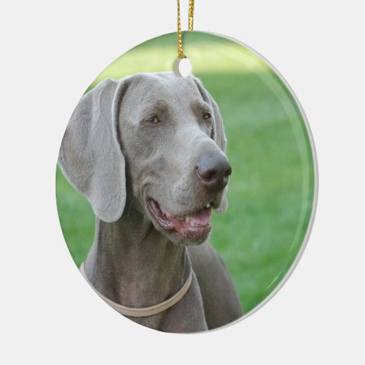 Weimaraner Keramikornament (Links)