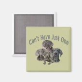 Weimaraner können nicht nur einen haben magnet (Vorderseite/Rückseite)