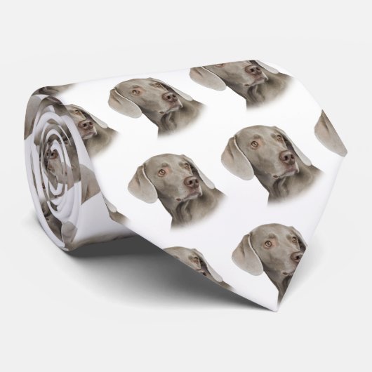 Weimaraner Krawatte (Gerollt)