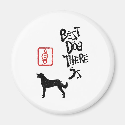 Weimaraner lang beschichtet magnet (Vorne)