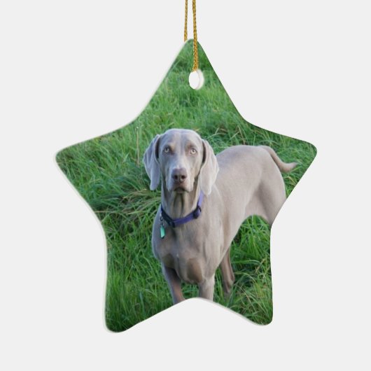 Weimaraner Liebhaber-Verzierung Keramik Ornament (Rechts)