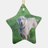 Weimaraner Liebhaber-Verzierung Keramik Ornament (Links)