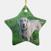Weimaraner Liebhaber-Verzierung Keramik Ornament (Hinten)