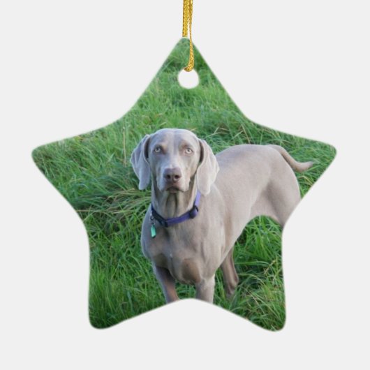 Weimaraner Liebhaber-Verzierung Keramik Ornament (Hinten)