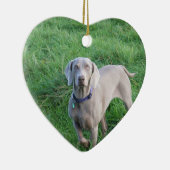 Weimaraner Liebhaber-Verzierung Keramikornament (Rechts)