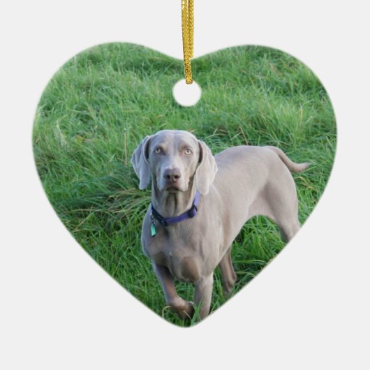 Weimaraner Liebhaber-Verzierung Keramikornament (Vorne)