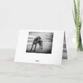 Weimaraner lustige Geburtstagskarte Karte (Rückseite)