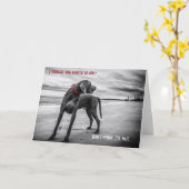 Weimaraner lustige Geburtstagskarte Karte (Gelbe Blume)
