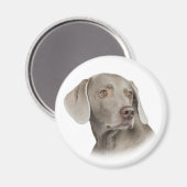 Weimaraner Magnet (Vorderseite/Rückseite)