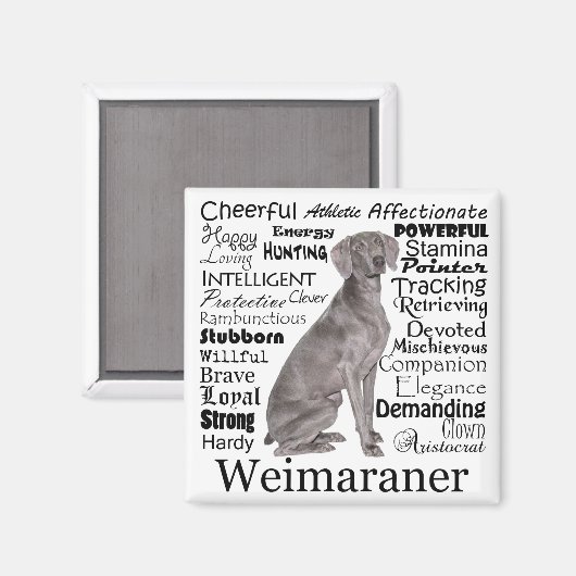 Weimaraner Magnet (Vorderseite/Rückseite)