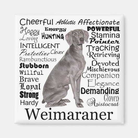 Weimaraner Magnet (Vorne)