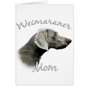 Weimaraner Mama 2