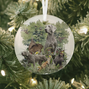 Weimaraner Metallschmuck Ornament Aus Glas