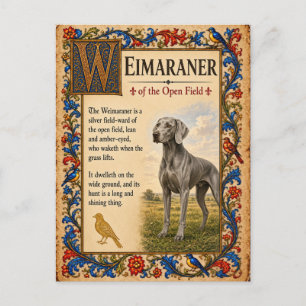 Weimaraner, mittelalterliche Bestiarien-Kunst Postkarte