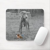 Weimaraner Mousepad (Mit Mouse)