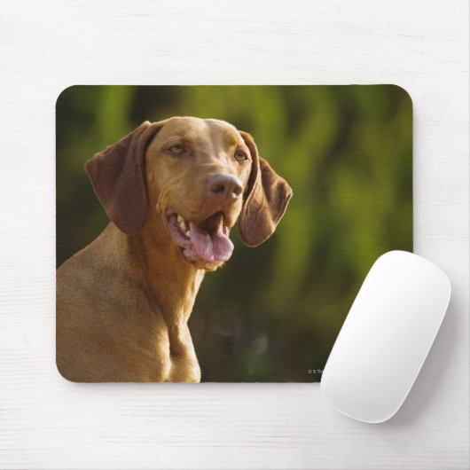 Weimaraner Mousepad (Mit Mouse)