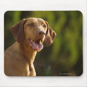 Weimaraner Mousepad