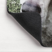 Weimaraner Mousepad (Ecke)