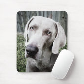 Weimaraner Mousepad (Mit Mouse)