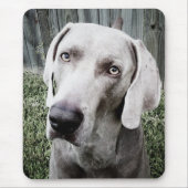 Weimaraner Mousepad (Vorne)