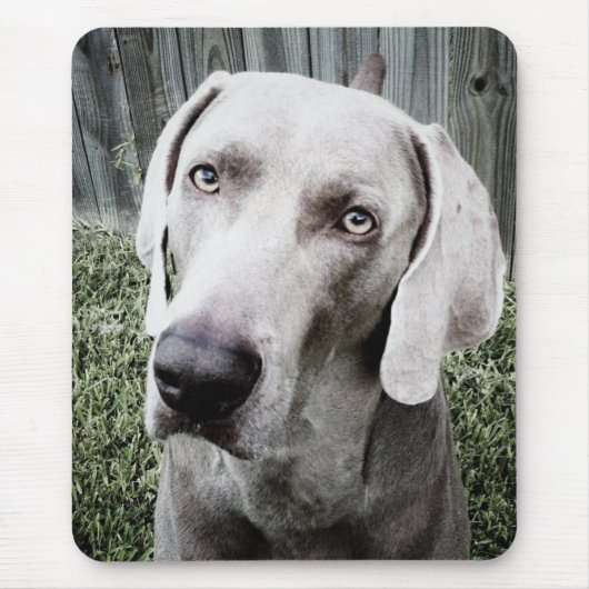 Weimaraner Mousepad (Vorne)