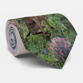 Weimaraner (N) - An der Seine Krawatte (Gerollt)