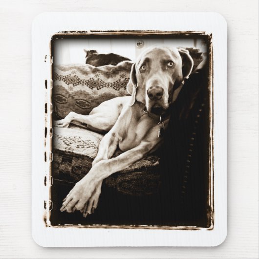 Weimaraner Nation: "Ballous Stuhl " Mousepad (Vorne)