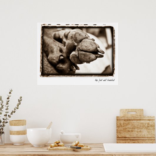 Weimaraner Nation : "Der Fuß gut gereist" Poster (Küche)