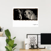 Weimaraner Nation : "Ein nachdenklicher Stare" Poster (Heimbüro)