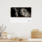 Weimaraner Nation : "Ein nachdenklicher Stare" Poster (Küche)